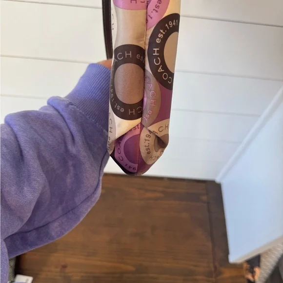 Coach Alexandra Crossbody  Bag - Picture 4 of 10